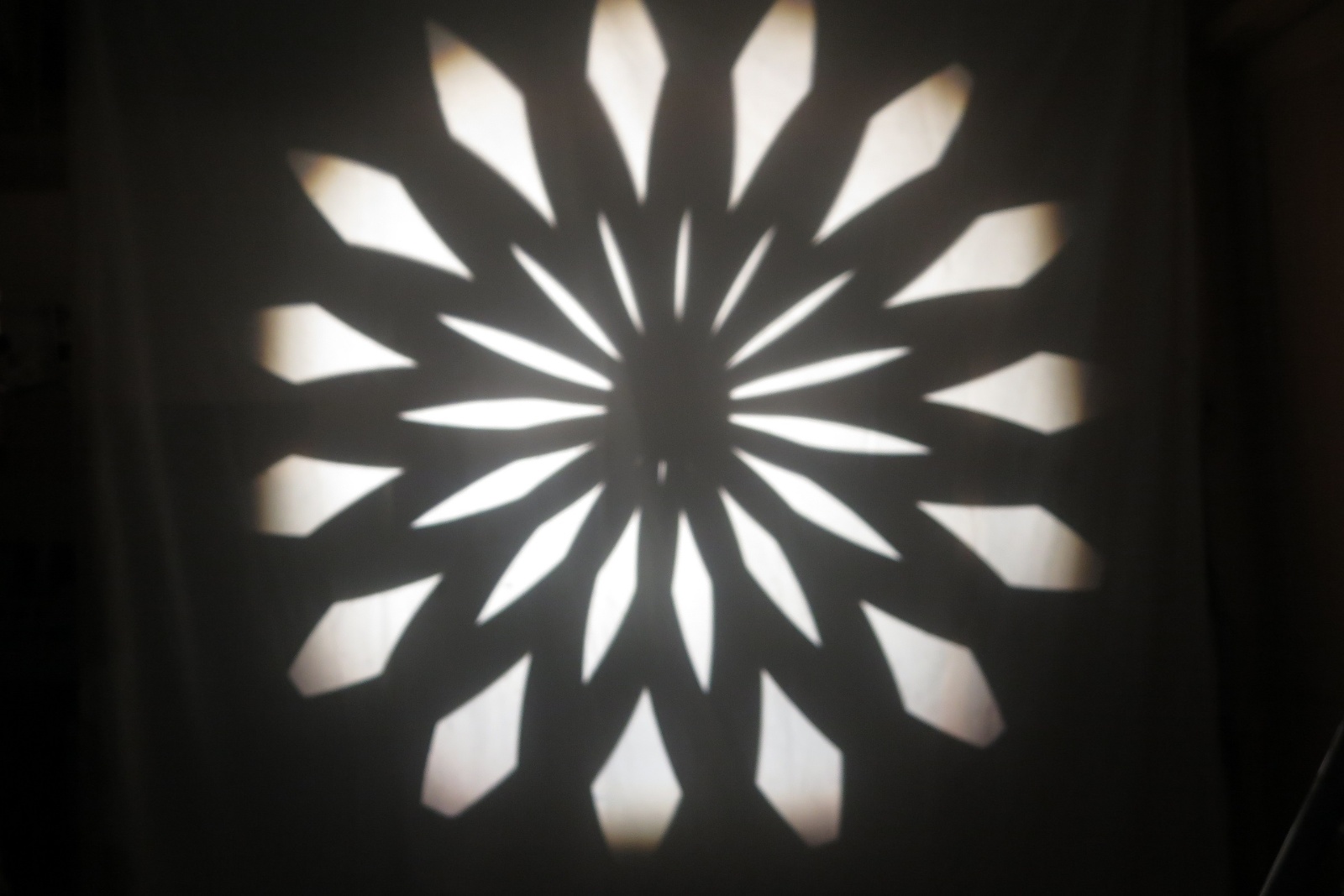 Flower power cassette2